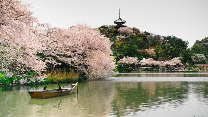 Yokohama, Japan / Photo =Ansplash