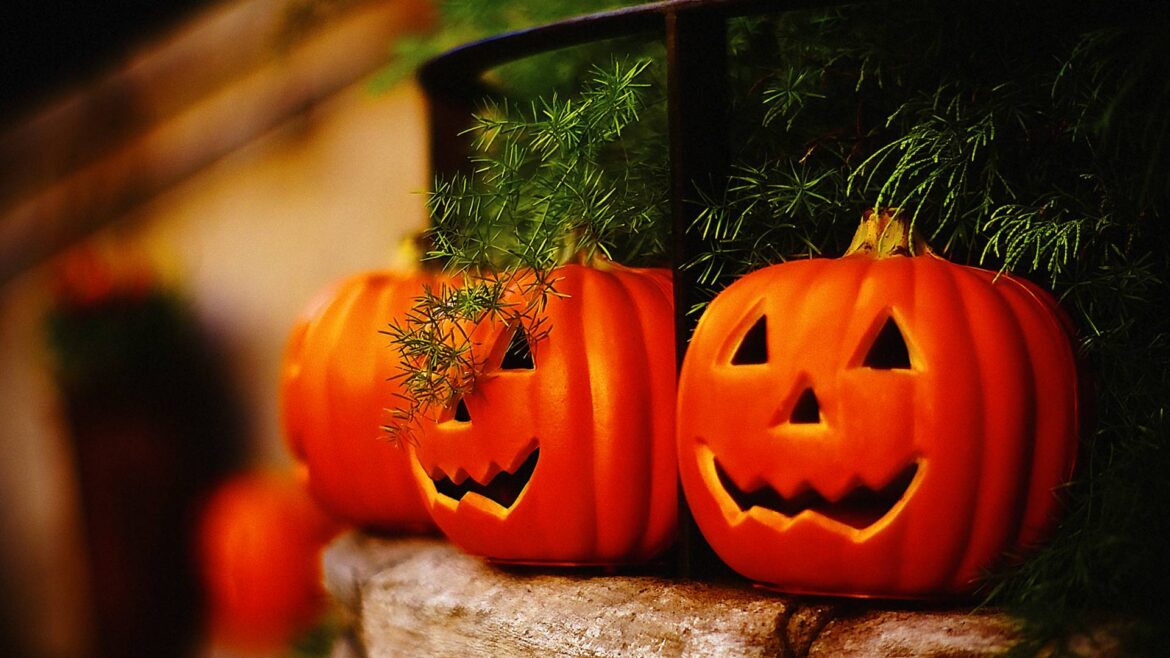 Best Things to Do and See in Tokyo in October