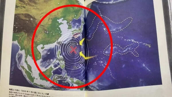 Pages from the dream journal 'The future I saw' that had previously gone viral on X