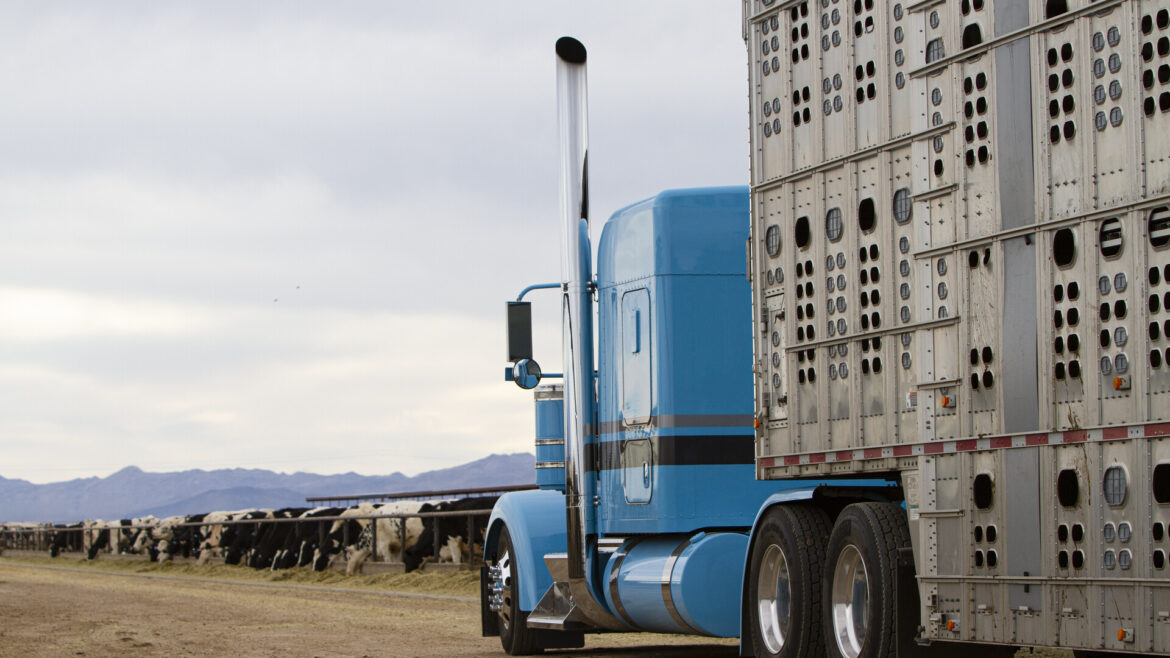 Japanese Beef Buyers Tour US Beef Operations