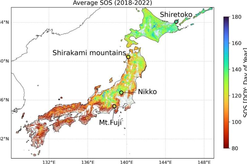 Satellite data shows earlier leaf flush in spring caused by high temperatures in 2023 and 2024