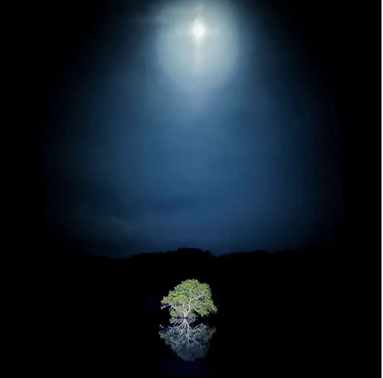 screenshot-2025-04-14-at-8-55-37.png