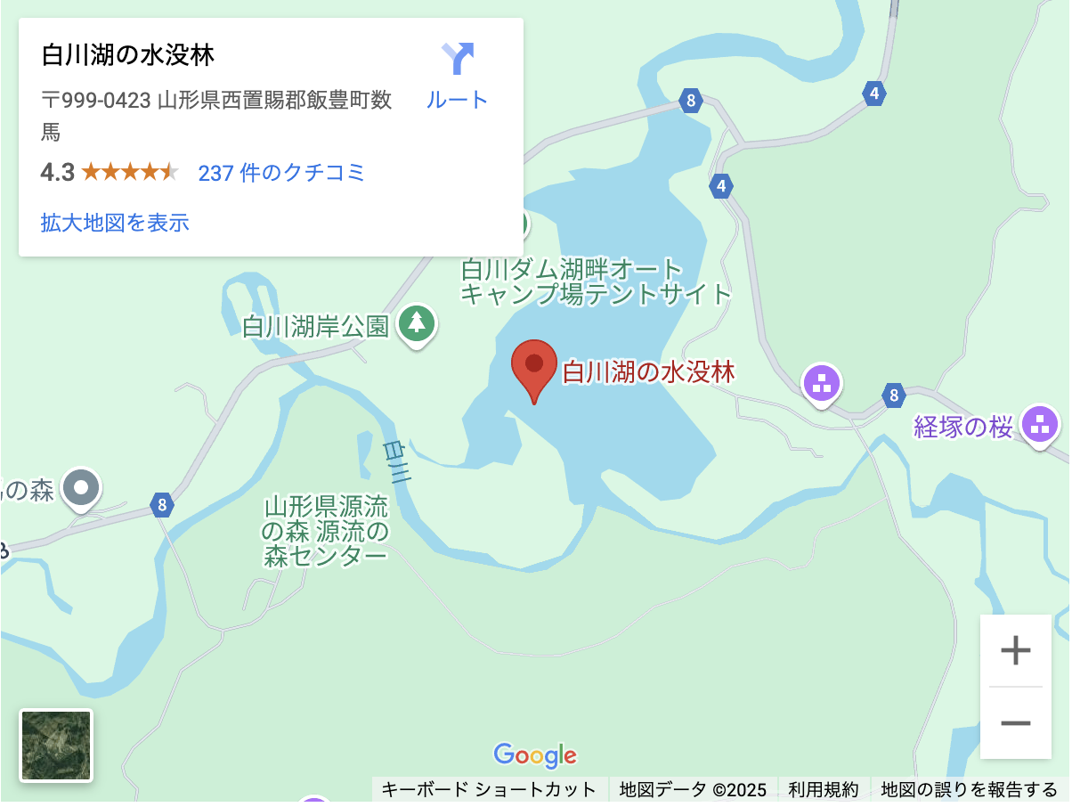 screenshot-2025-04-14-at-8-56-13.png