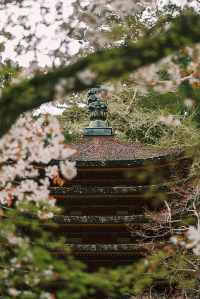 Tanzan Jinja, 談山神社