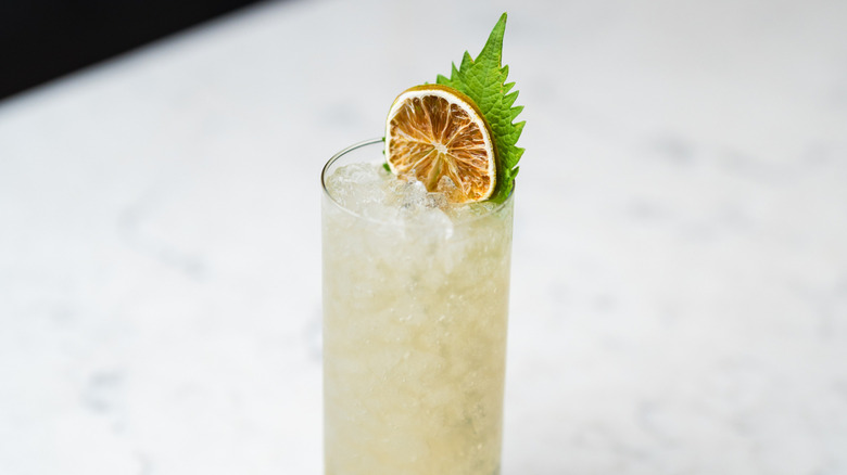 A pale yellow cocktail in a tall glass with pebbled ice. Garnished with a dehydrated citrus wheel and shiso leaf.