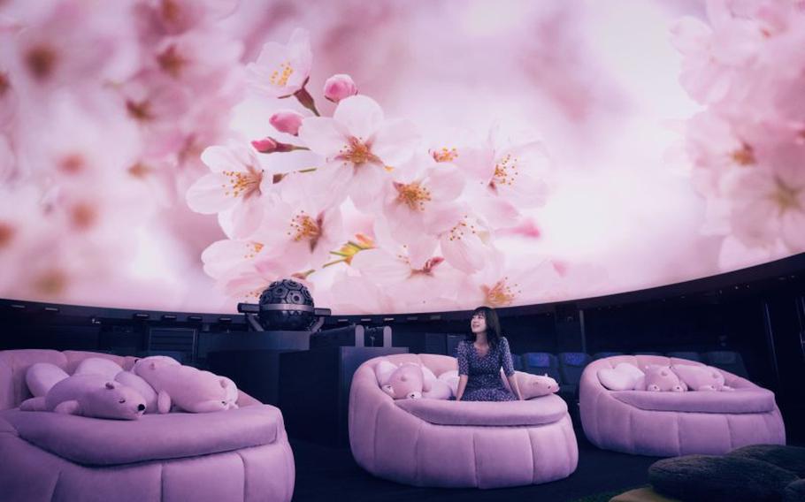 a woman having a seat on a huge sofa in the planetarium.