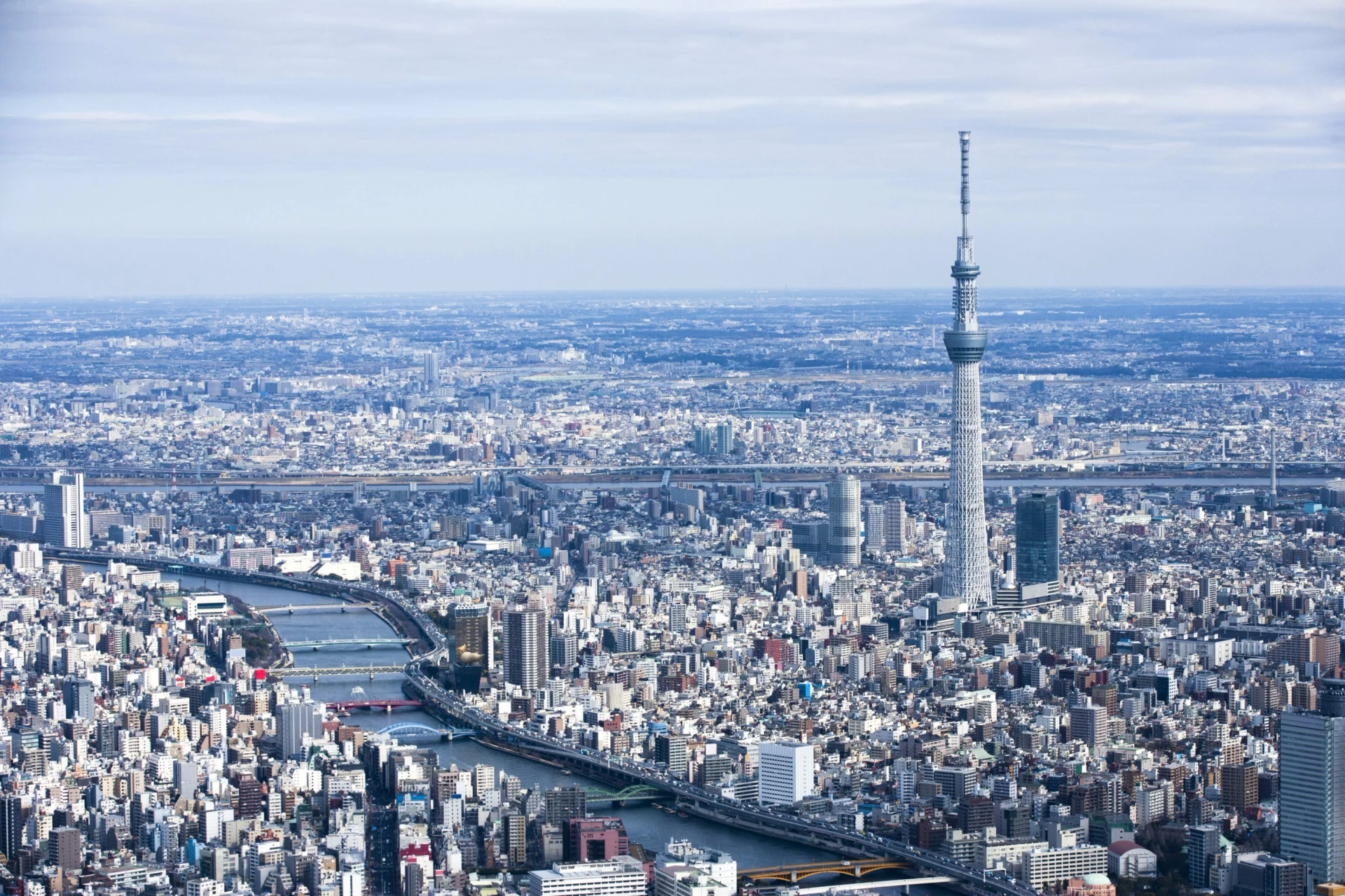 Tokyo Skytree rising above the city near the river. A panoramic view.