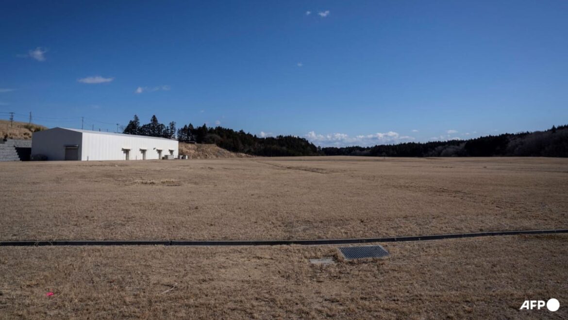Japan PM's office to accept Fukushima soil