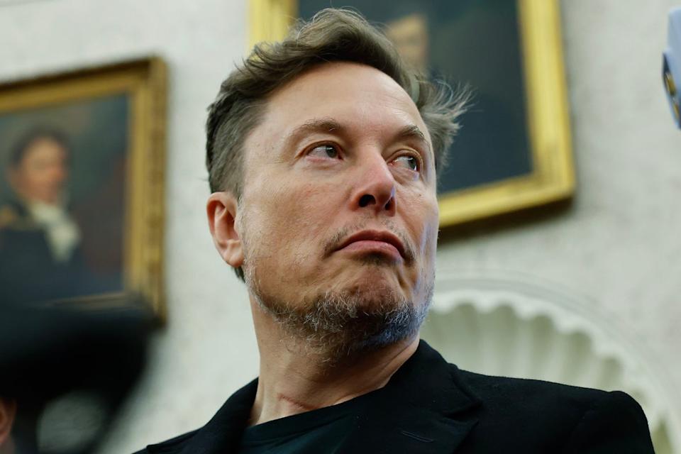 Elon Musk reportedly also shares a child with a Japanese pop star (Chip Somodevilla/Getty Images)