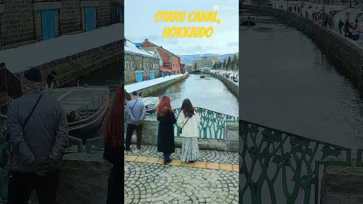 Lunch at Hokkai Aburiyaki, Otaru Canal #otaru #hokkaido #japan #travel #japanesefood #freshseafood