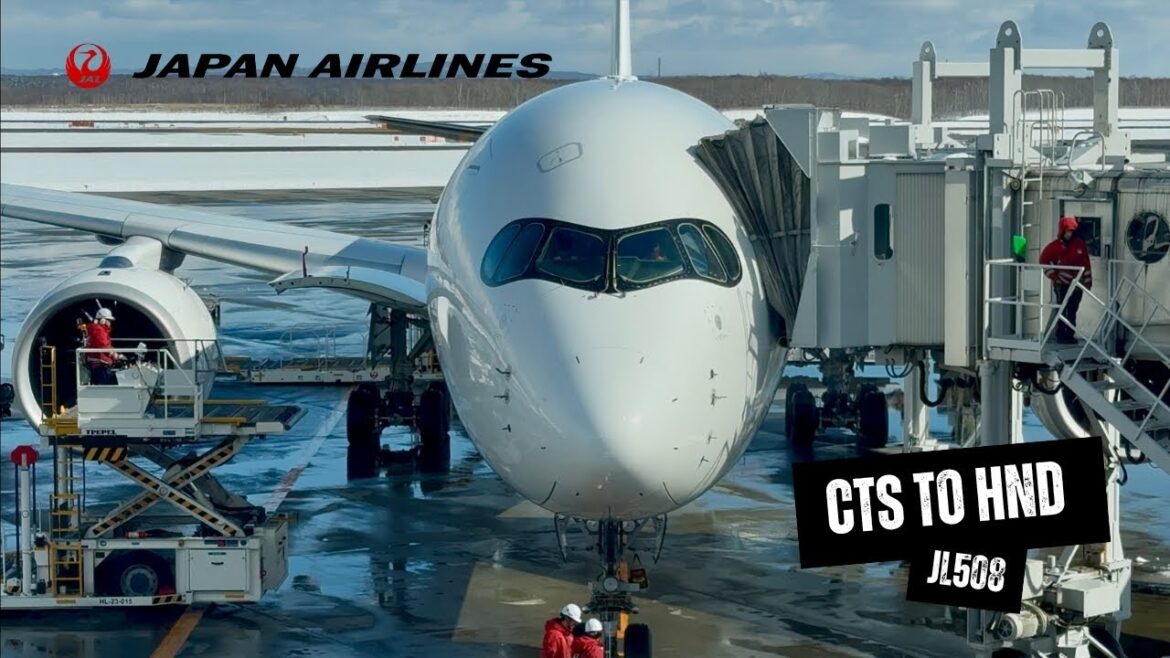 JAPAN AIRLINES A350-900 JL508 Economy Class – New Chitose to Tokyo Haneda, Airport Lounge Views (4K) JAPAN AIRLINES A350-900 JL508 Economy Class - New Chitose to Tokyo Haneda, Airport Lounge Views (4K)