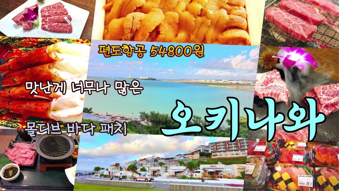 혼자 가도 감동적인 오키나와 여행…오키나와 맛집 4곳 포함… 혼자 가도 감동적인 오키나와 여행...오키나와 맛집 4곳 포함...