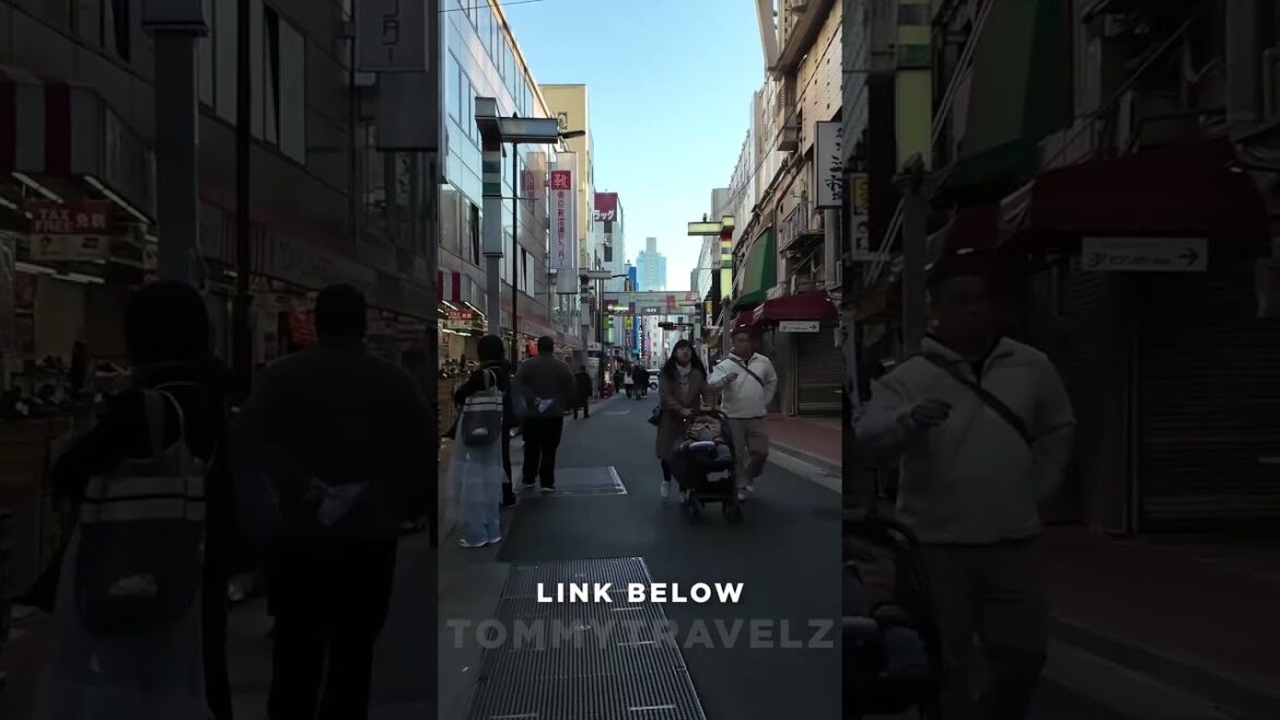 #tokyo #osaka #ohtani #kyoto #shibuya #ginza #onsen #shinjuku #soba #ramen #tokyotravel #japan