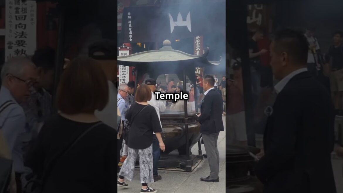 Tokyo Top 8 Travel #travelvlog #worldexplorer #travel #tokyospots #tokyoadventures