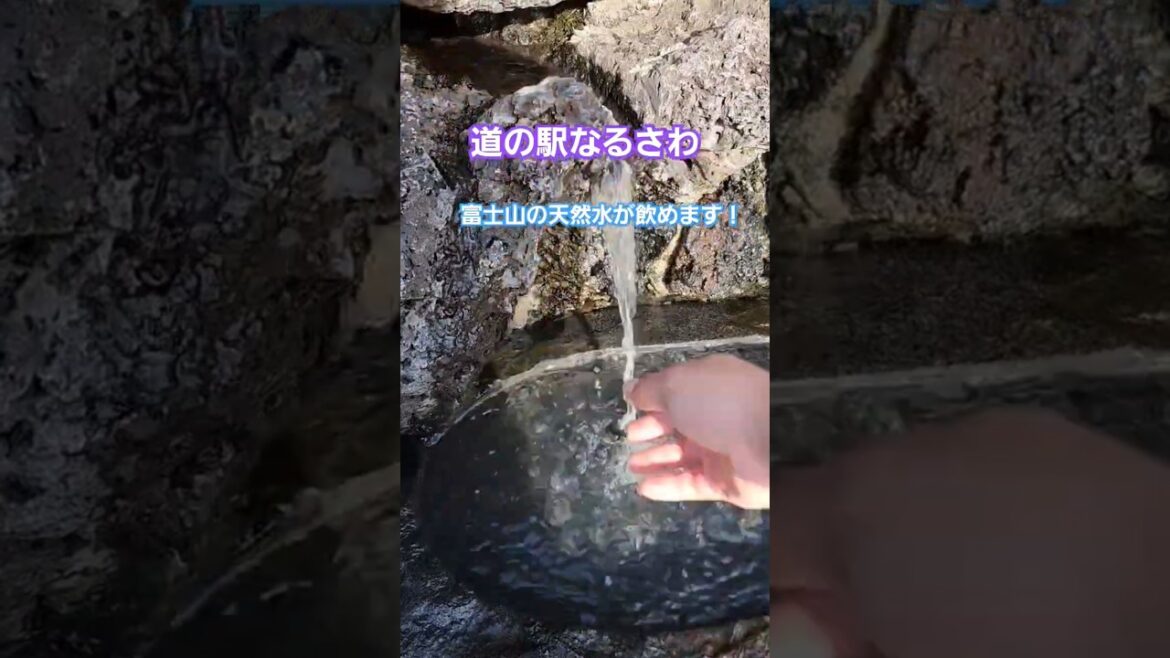 道の駅なるさわ #鳴沢村 #富士山 #旅行 #道の駅  #観光 #絶景