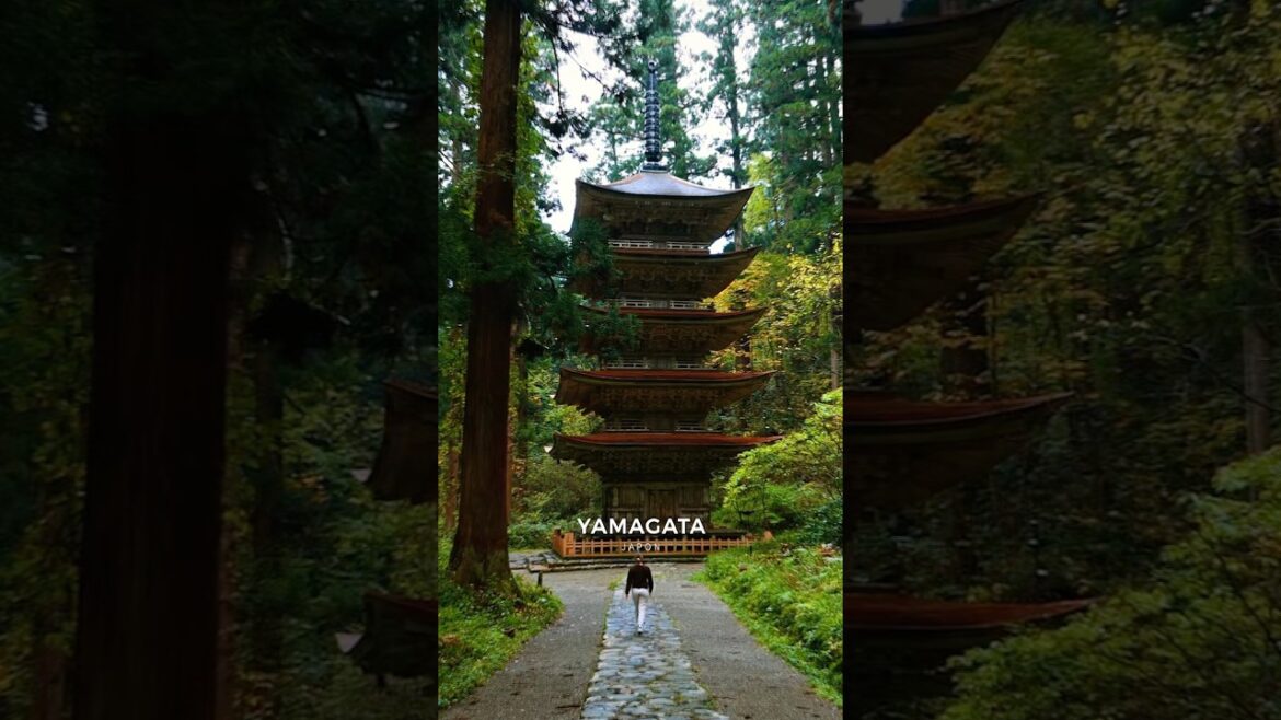#hagurosan : la pagode à 5 étages cachée dans la forêt de Yamagata #japon #gojunoto #shorts