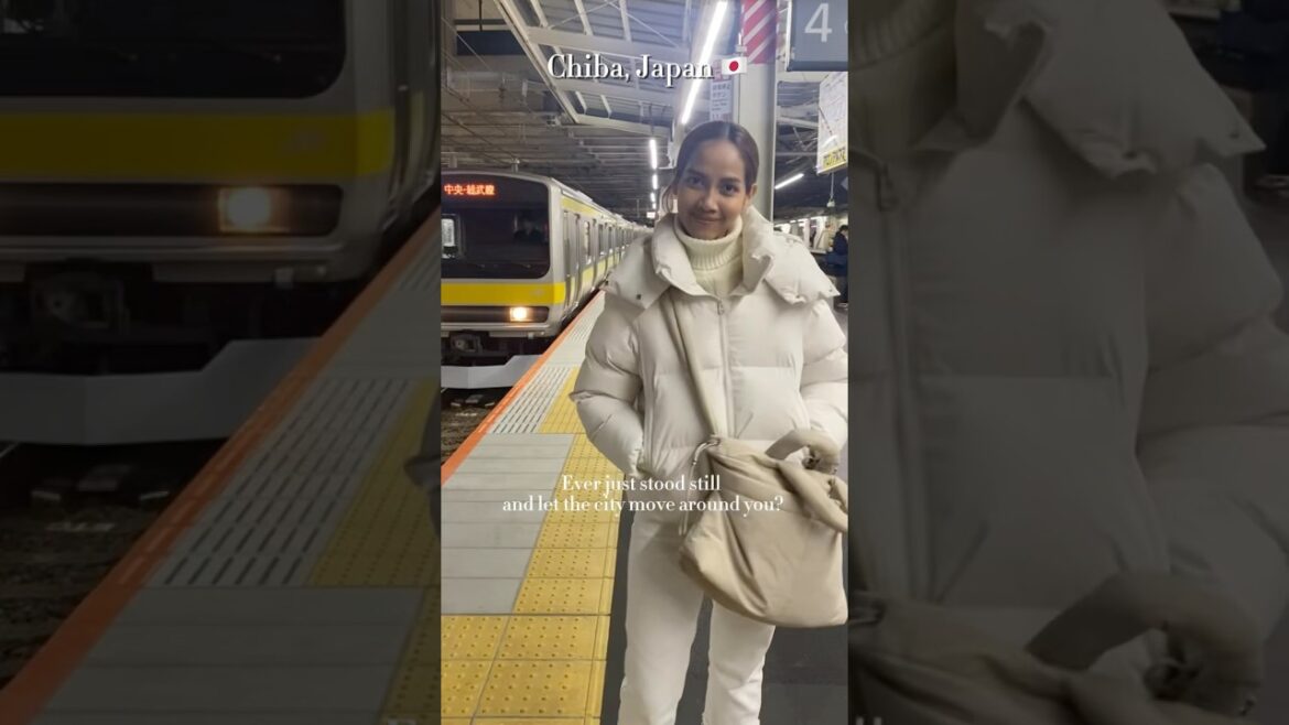 Street Views & Sky Trains in Chiba, Japan #monorail #nightview #japantravel