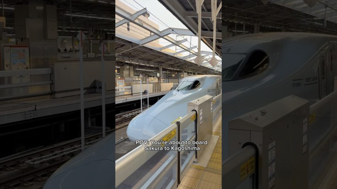 POV: Youโre about to board Sakura Shinkansen from Osaka to Kagoshima ๐ฏ๐ต๐พ๐ #shinkansen #jrpass POV: Youโre about to board Sakura Shinkansen from Osaka to Kagoshima ๐ฏ๐ต๐พ๐ #shinkansen #jrpass