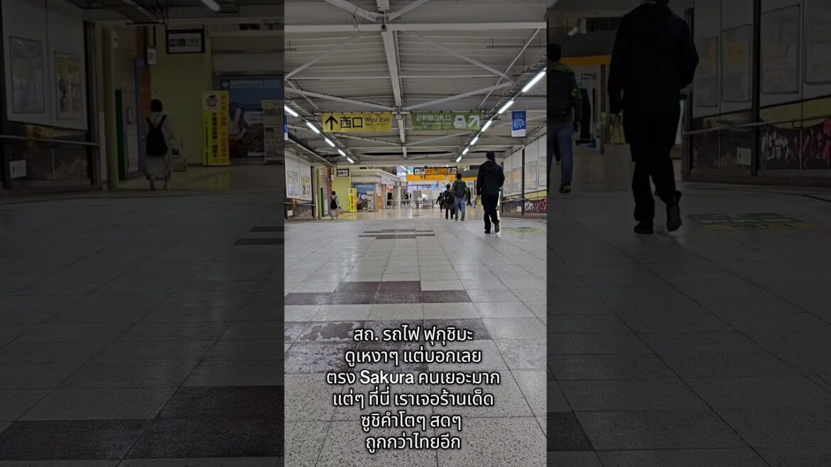 #japan #travel #fukushima #sakura