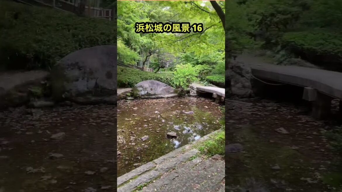 浜松城の景色16 #浜松城 #hamamatsucastle #旅行 #日本 #japan #歴史