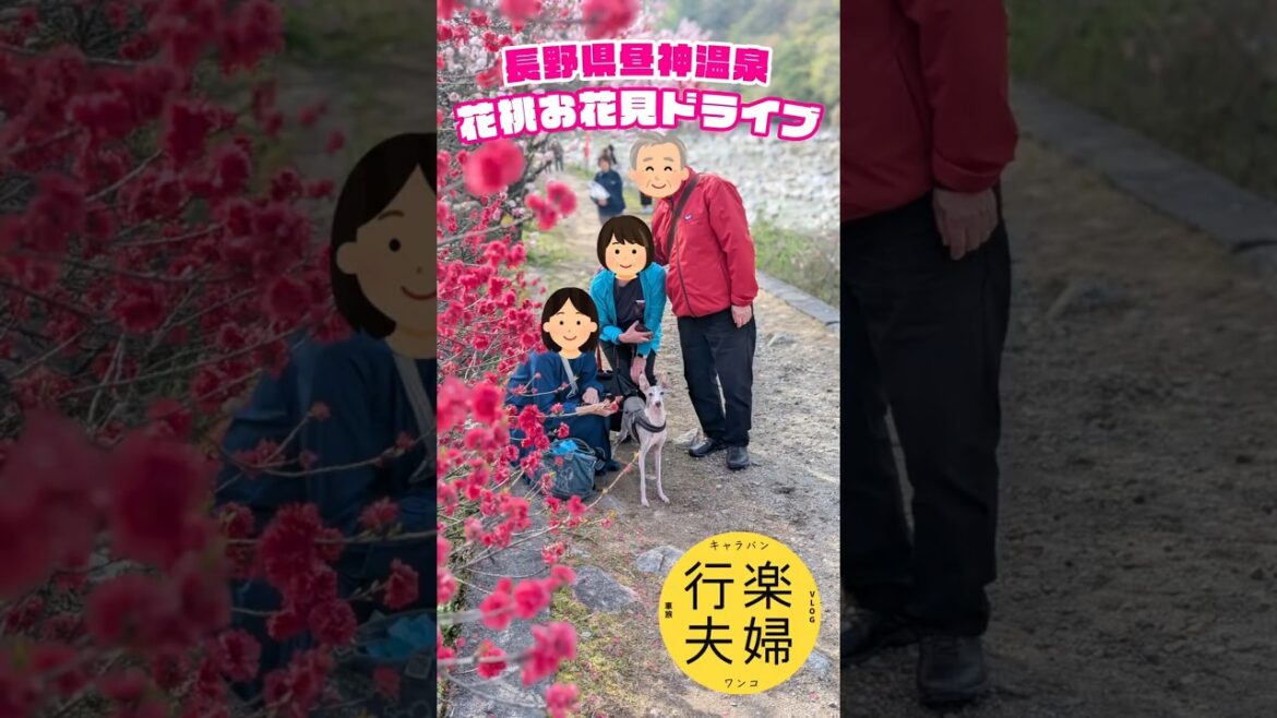 【キャラバン スペースキャンパー】長野県昼神温泉 花桃お花見ドライブ【2025.04.19】