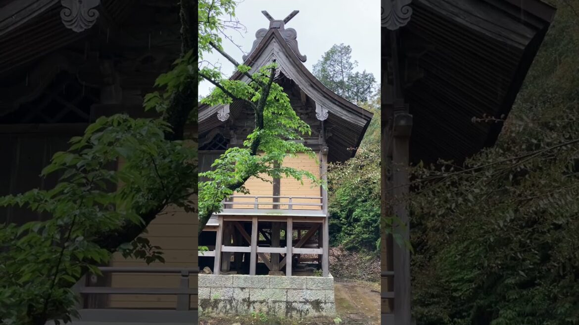 This Ancient Japanese Shrine Guards The Purest Water in Hiroshima! #japan #serenity