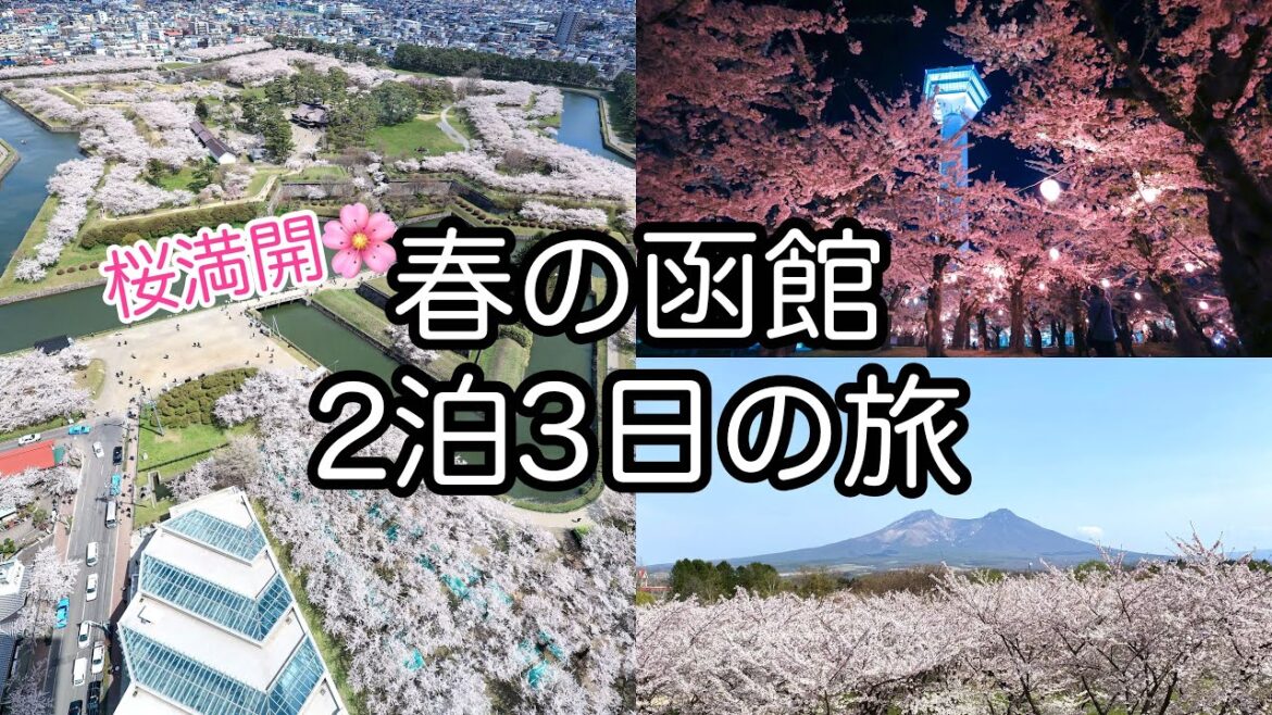 【北海道】桜満開🌸春の函館2泊3日の旅 桜ヶ丘通り 五稜郭公園 オニウシ公園