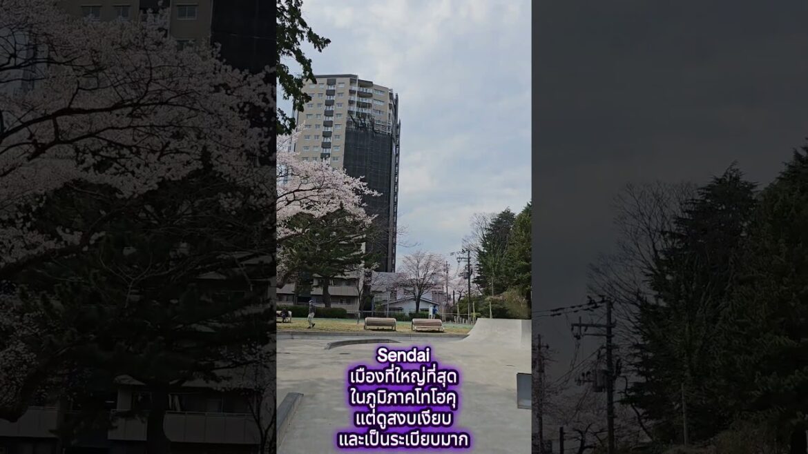 #japan #travel #sakura #sendai