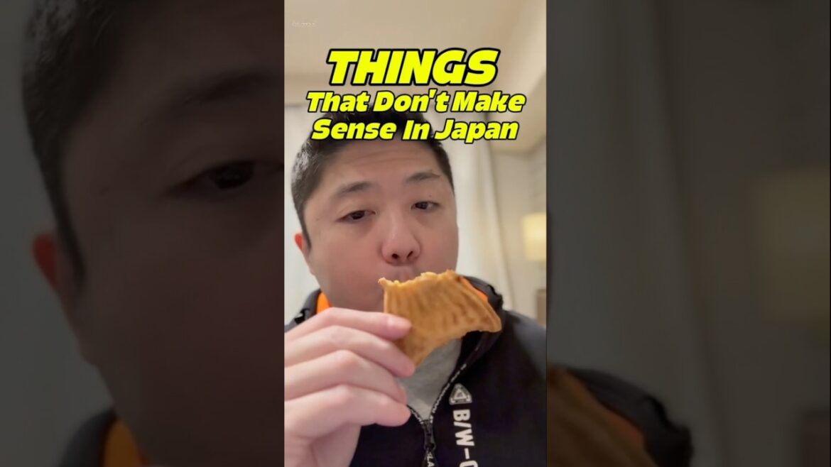 Walking through Japan 🏯 Culture Talk 🌸Shinjuku Morning Walk Walking through Japan 🏯 Culture Talk 🌸Shinjuku Morning Walk