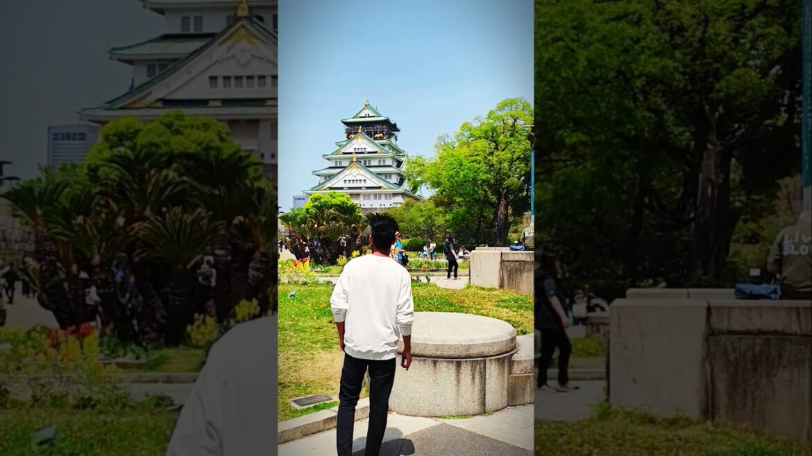 How to Go in Osaka Castle | osaka castle park cycling| #shorts #trending #vlog #love