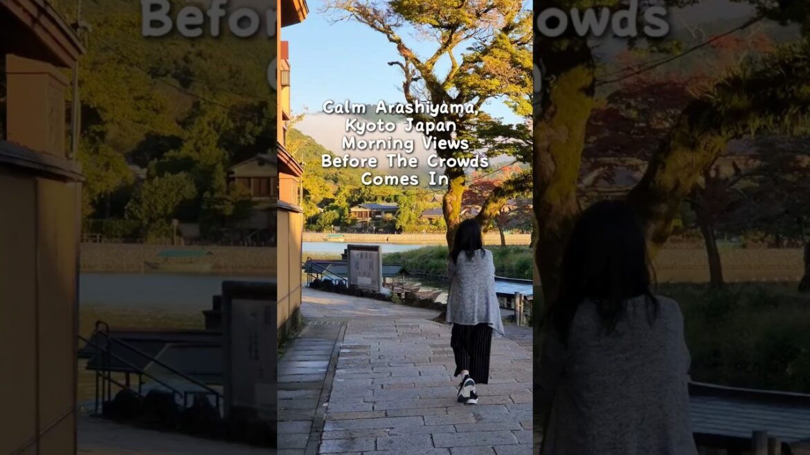 THIS is why you should book an overnight hotel for your Kyoto Trip 🥹 #japan #japantravel #japanlife