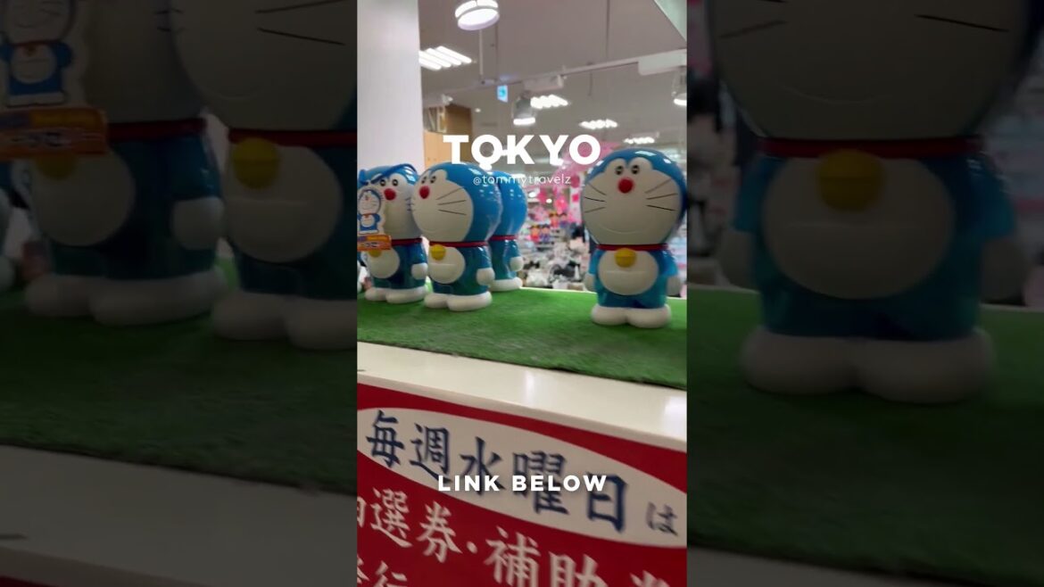 #tokyo #osaka #ohtani #kyoto #shibuya #ginza #onsen #shinjuku #soba #ramen #tokyotravel #japan