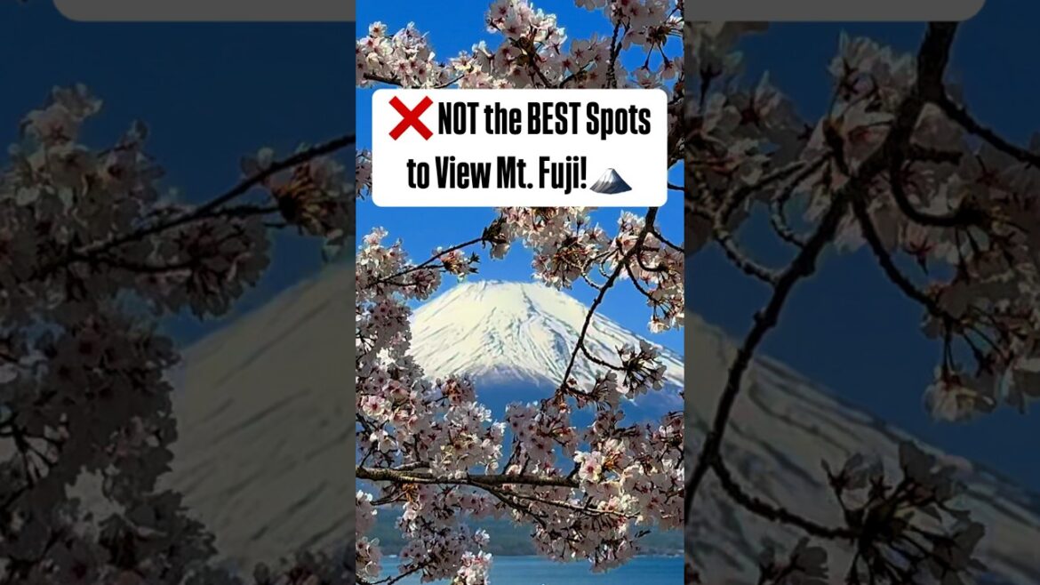 Is it worth it? (Mt. FUJI Tour with @klook)