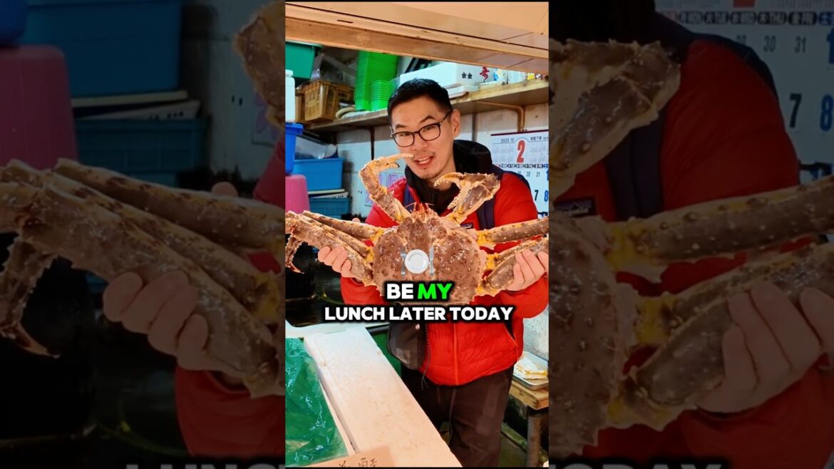 Eating MONSTER King Crab in Otaru, Japan 🇯🇵