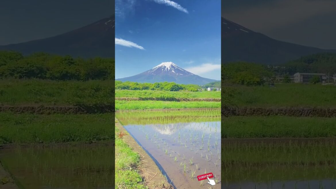 Mt Fuji Japan best season changing video #attractions #destination #moutains #season #honeymoon