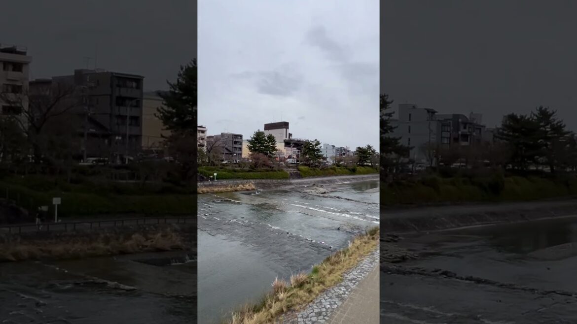 【KYOTO】Everyday Common Scene - Kamo River