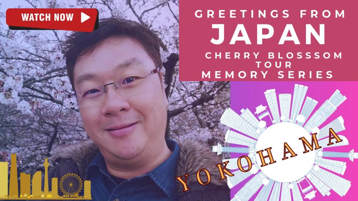 My #sakura #tour #memories Series #japanvlog My #sakura #tour #memories Series #japanvlog