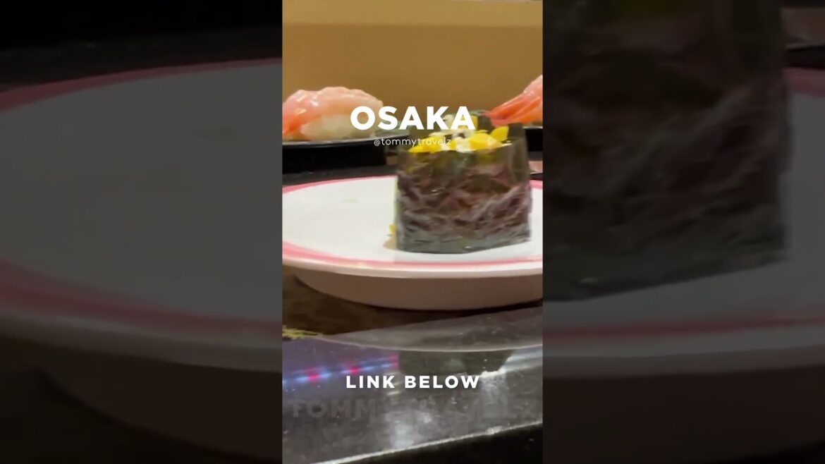 #tokyo #osaka #ohtani #kyoto #shibuya #ginza #onsen #shinjuku #soba #ramen #tokyotravel #japan