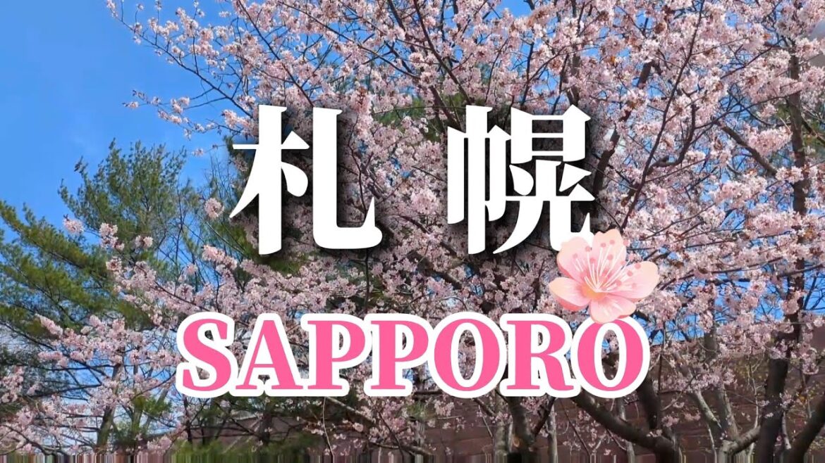 札幌怎麼玩？櫻花、海鮮、夜景、熱門景點，一次攻略！