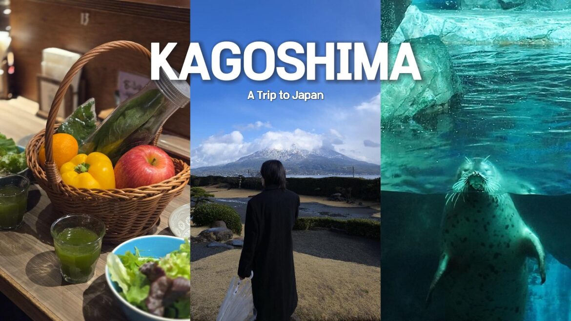 Winter Kagoshima Journey | Snowy Sengan-en & Tranquil Sakurajima | Japan Travel Vlog