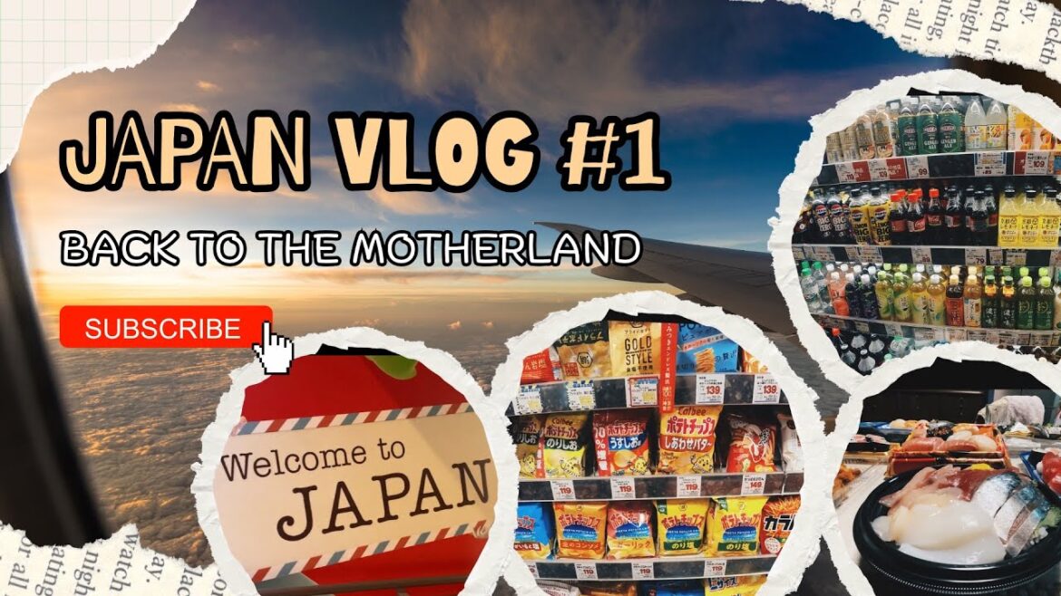 Narita Airport Arrival & First Supermarket in Japan | Japan Travel Vlog Day 1