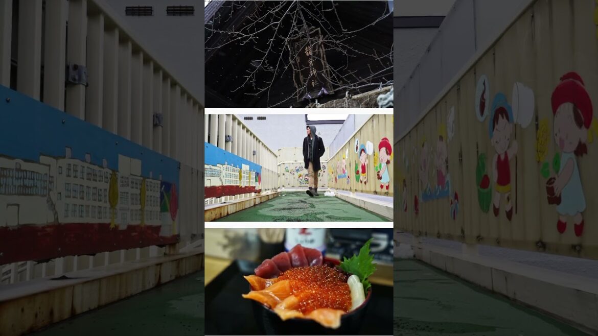 No plans, no internet, no maps. Getting lost in the city of Otaru Hokkaido Japan.