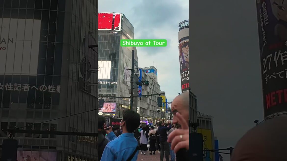 Sihibuya 4K Dreamy Walk #japan #travel #foryou #shorts