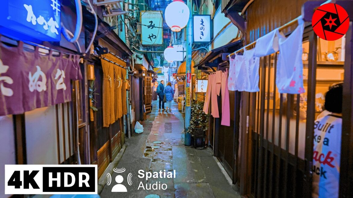 4K HDR – Tokyo Night Walk in Shibuya – Spring 2025 4K HDR - Tokyo Night Walk in Shibuya - Spring 2025