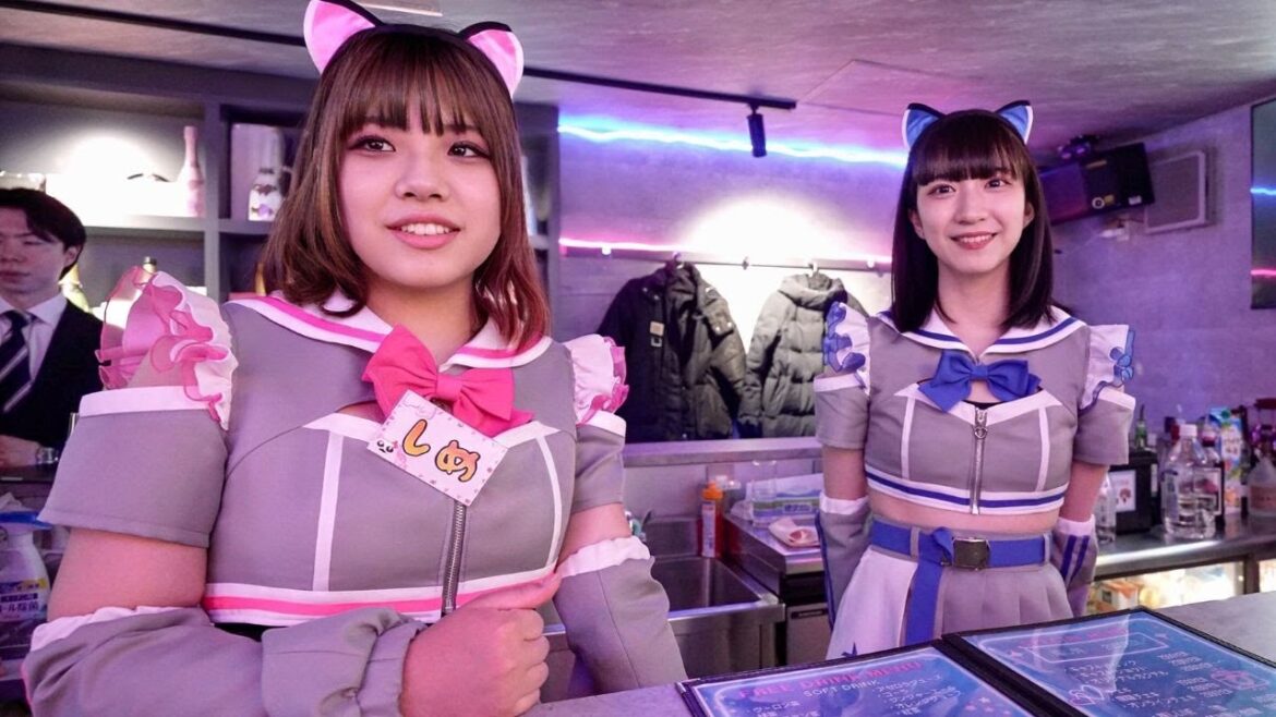 Chasing Girls Bars in Tokyo at Midnight