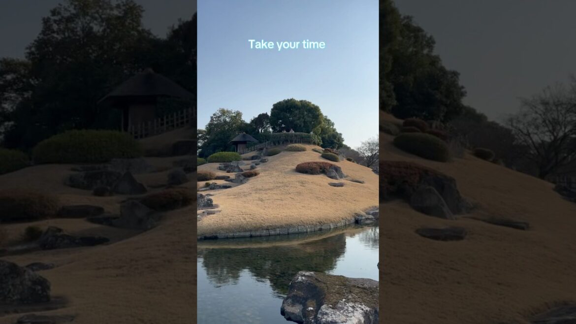 Japanese garden ( Okayama ) #garden #japan #nature #summer #tree #zen