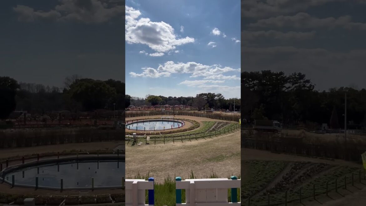 【OSAKA】Everyday Common Scene – Hattori Ryokuchi Park 【OSAKA】Everyday Common Scene - Hattori Ryokuchi Park