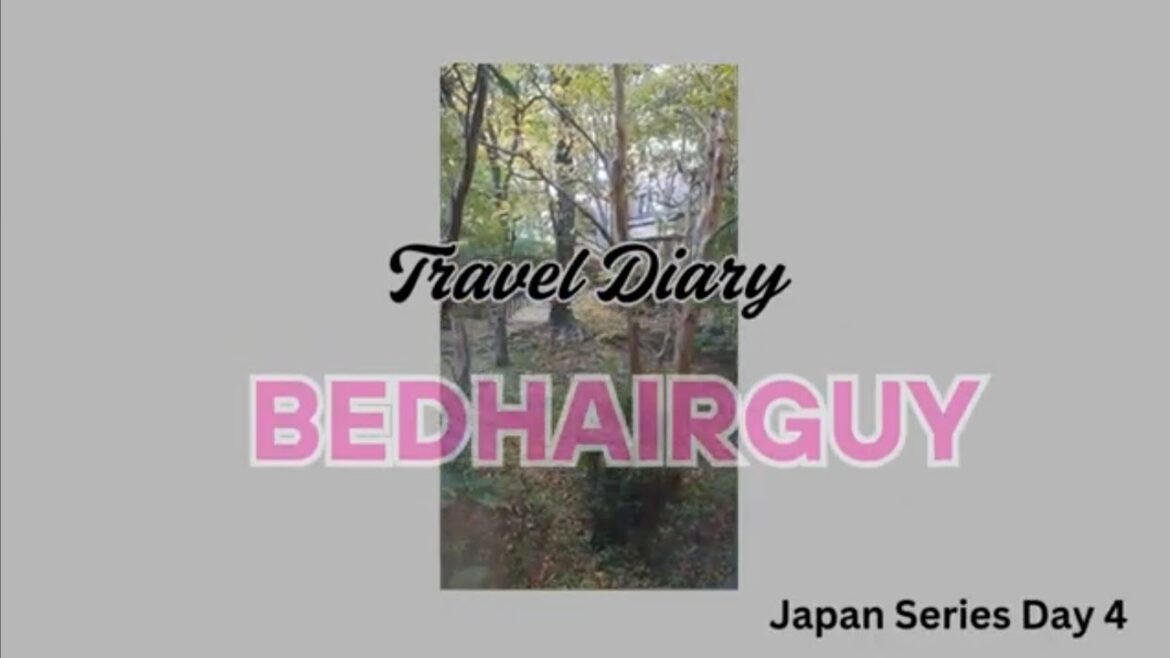 Japan Day 4. First Time in Japan | 15 days Series Solo Traveling