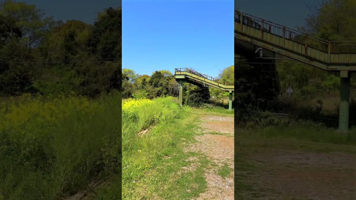 Japanese countryside: Hiyasuji in Fukuro, Minamata City, Kumamoto, Japan. #japaneselandscape