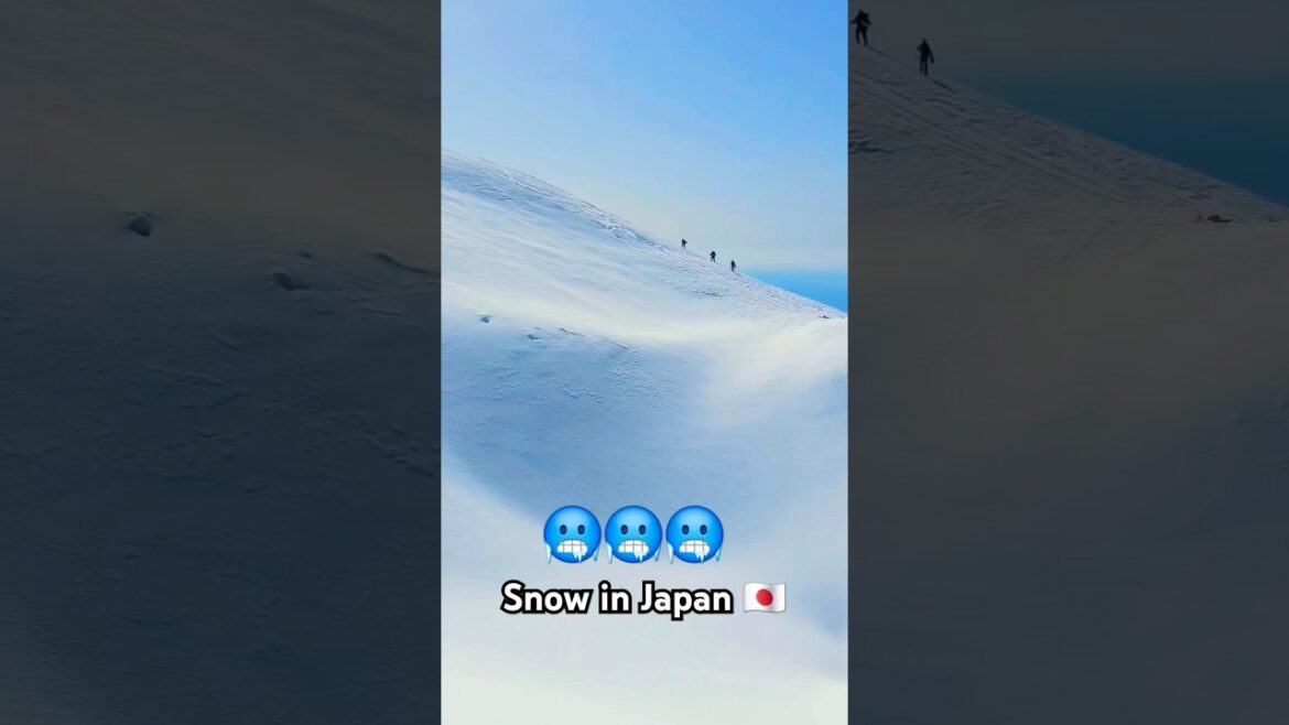 Snow in Japan 🇯🇵 Subscribe for daily Travel Content #shorts #shortsfeed #japan #travel #snow